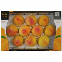 황도10과
