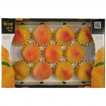 황도11과