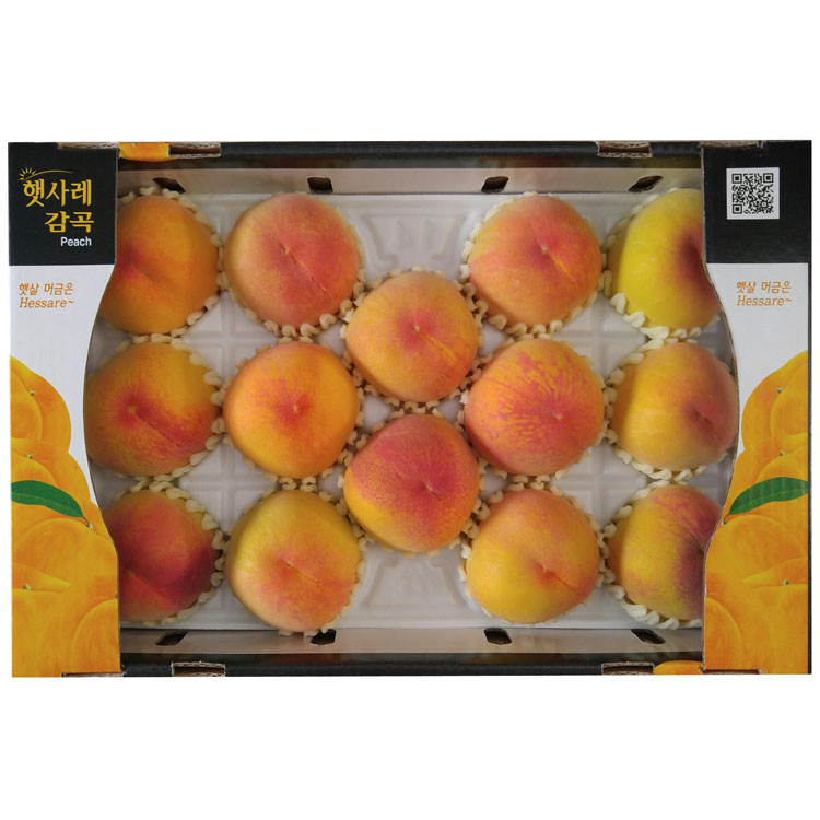 황도14과