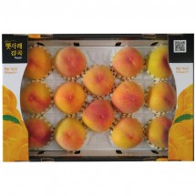 황도14과