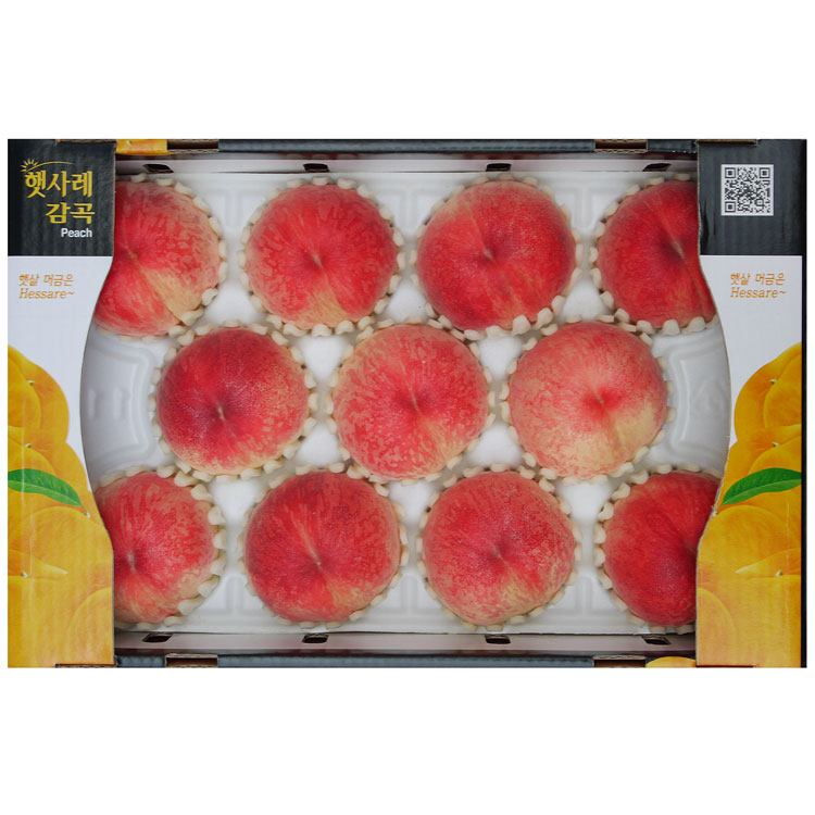 몽부사11과