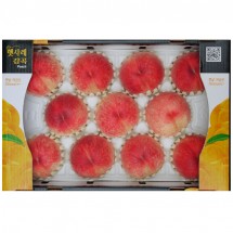 몽부사11과