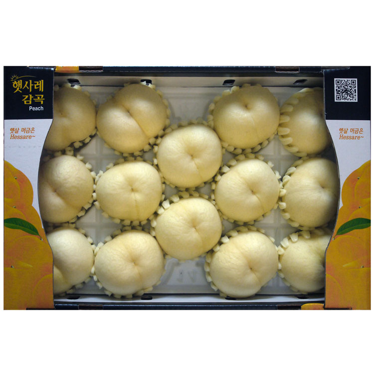 백설14과