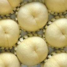 백설14과