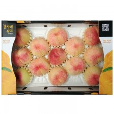 그레이트13과