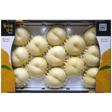 백설13과