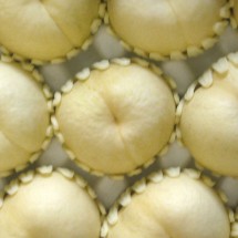 백설12과