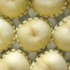 백설12과