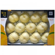 백설12과