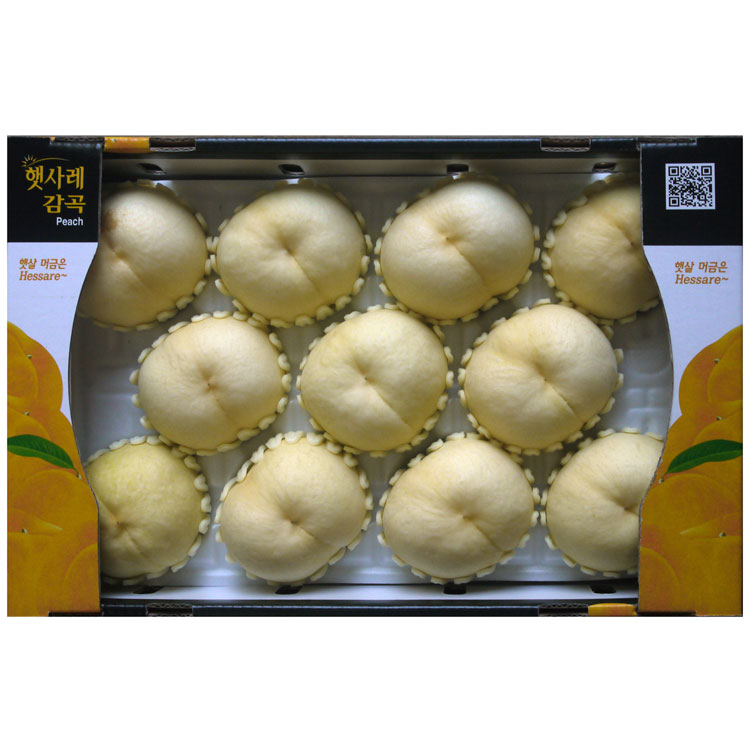 백설11과