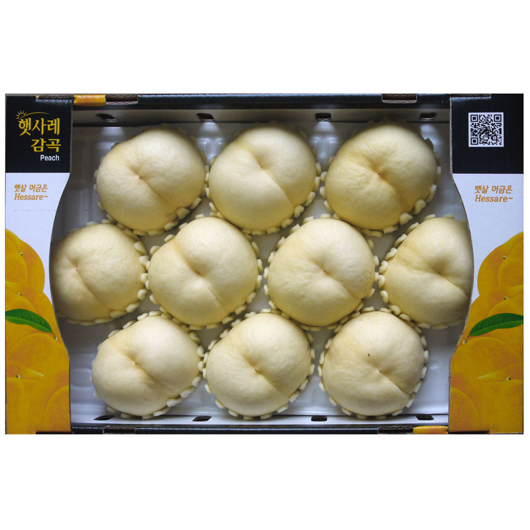 백설10과
