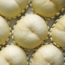 백설10과