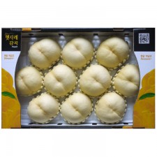 백설10과