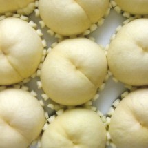 백설15과
