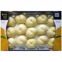 백설15과