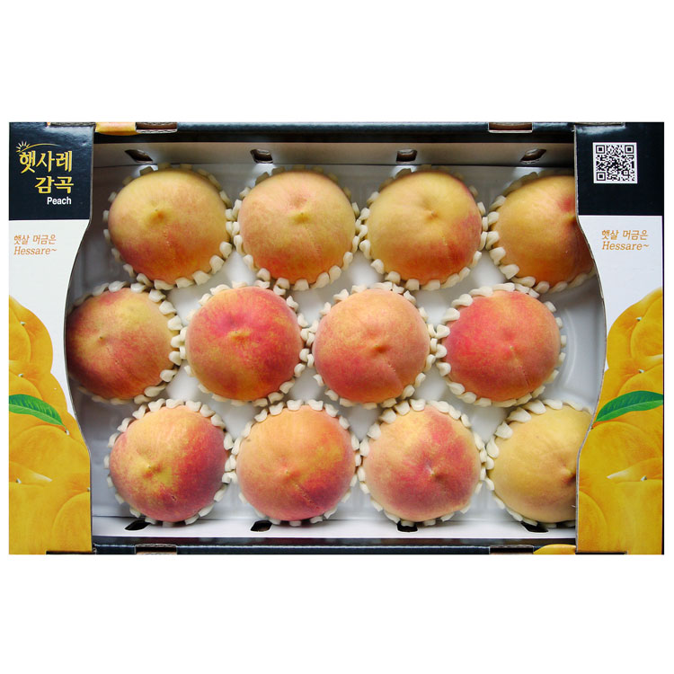 엘버트12과